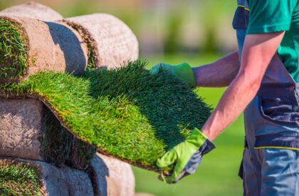 Natural Grass Turf Check Before Installation in a Garden.