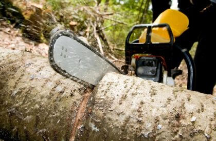 motorsaege-ein-baum-laesst-sich-in-drei-schritten-faellen-symbolbild-