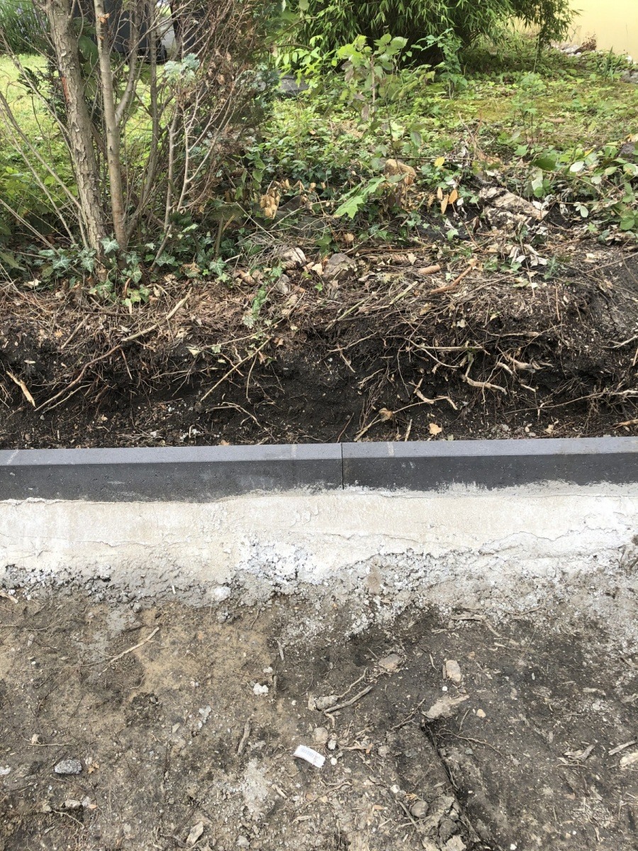 Baumschnitt & Fällung – Garten und Landschaftsbau MEG