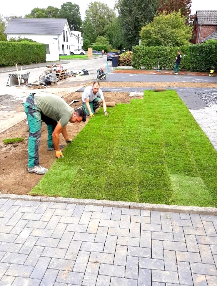 Rasenarbeiten Projektfoto 6